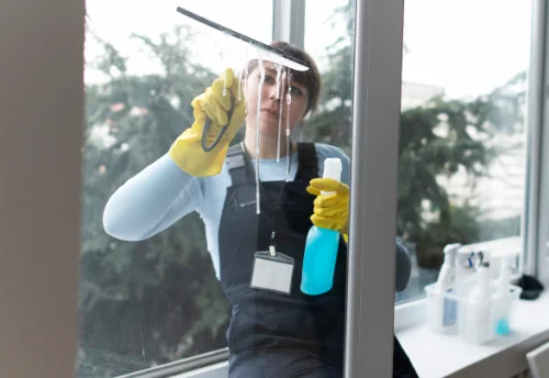 Nettoyage de vitres intérieures et extérieures à Laveissière